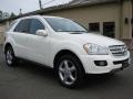 Arctic White - ML 350 4Matic Photo No. 6