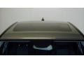 Palladium Silver Metallic - C 300 Luxury Photo No. 7