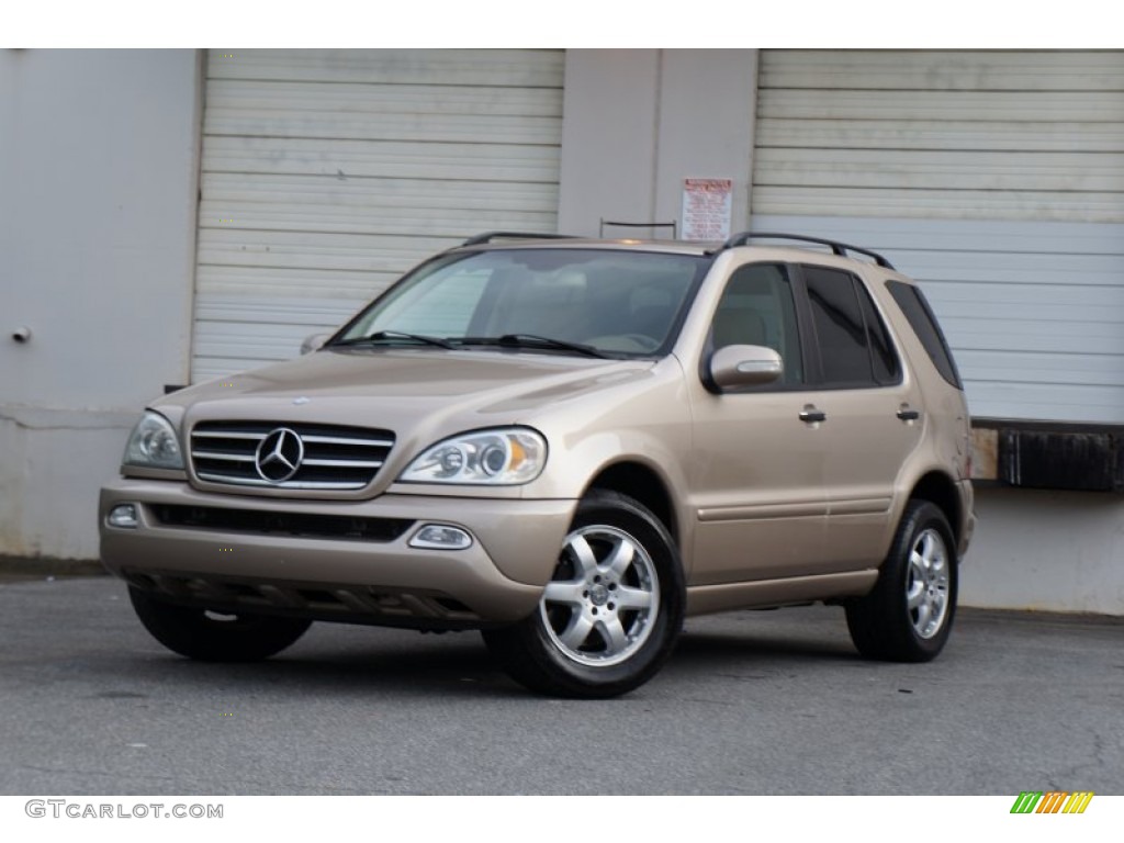 2002 Desert Silver Metallic MercedesBenz ML 500 4Matic 98597523 Photo