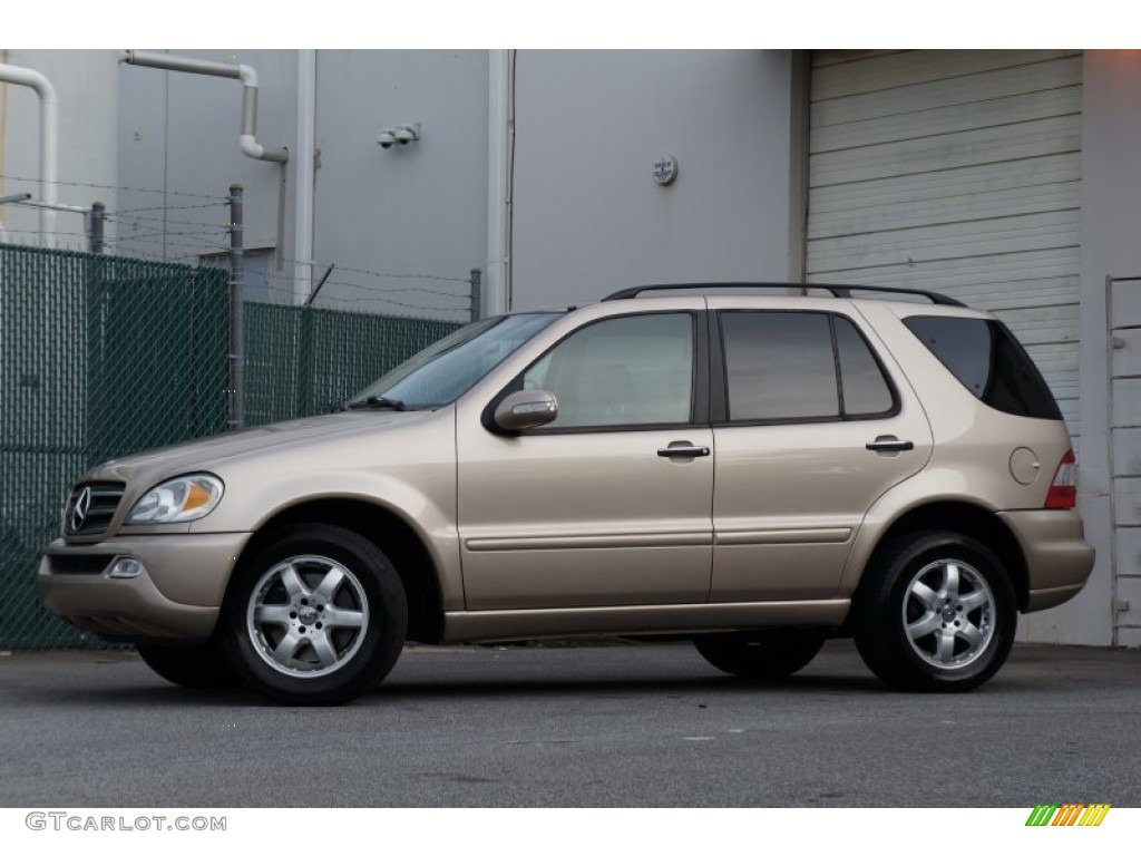 2002 Desert Silver Metallic MercedesBenz ML 500 4Matic 98597523 Photo