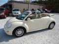 Harvest Moon Beige - New Beetle GLS Convertible Photo No. 21