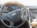 Eclipse Black - Sonata Hybrid  Photo No. 7