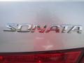 Bright Silver - Sonata GLS V6 Photo No. 13