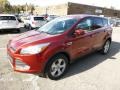 2015 Sunset Metallic Ford Escape SE 4WD  photo #5