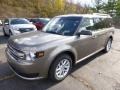 2014 Mineral Gray Ford Flex SE  photo #5