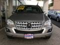 2009 Sand Beige Metallic Mercedes-Benz ML 350 4Matic  photo #2