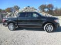 Tuxedo Black - F150 Platinum SuperCrew 4x4 Photo No. 45