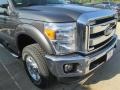 Magnetic - F250 Super Duty XLT Crew Cab 4x4 Photo No. 3