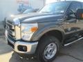 Magnetic - F250 Super Duty XLT Crew Cab 4x4 Photo No. 109