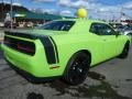 2015 Sublime Green Pearl Dodge Challenger R/T Scat Pack  photo #5