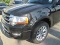 Tuxedo Black Metallic - Expedition Limited Photo No. 76