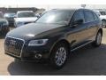 Mythos Black Metallic - Q5 2.0 TFSI Premium quattro Photo No. 3