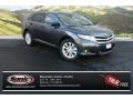 Cosmic Gray Mica 2015 Toyota Venza LE