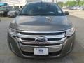 2014 Mineral Gray Ford Edge Limited  photo #3