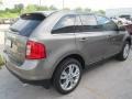 2014 Mineral Gray Ford Edge Limited  photo #5