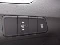Titanium Gray Metallic - Elantra GLS Photo No. 18