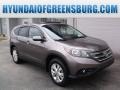 Urban Titanium Metallic - CR-V EX 4WD Photo No. 1