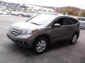Urban Titanium Metallic - CR-V EX 4WD Photo No. 6