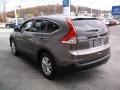 Urban Titanium Metallic - CR-V EX 4WD Photo No. 7