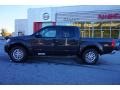 Night Armor - Frontier SV Crew Cab Photo No. 2