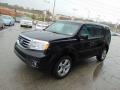 Crystal Black Pearl - Pilot EX 4WD Photo No. 5