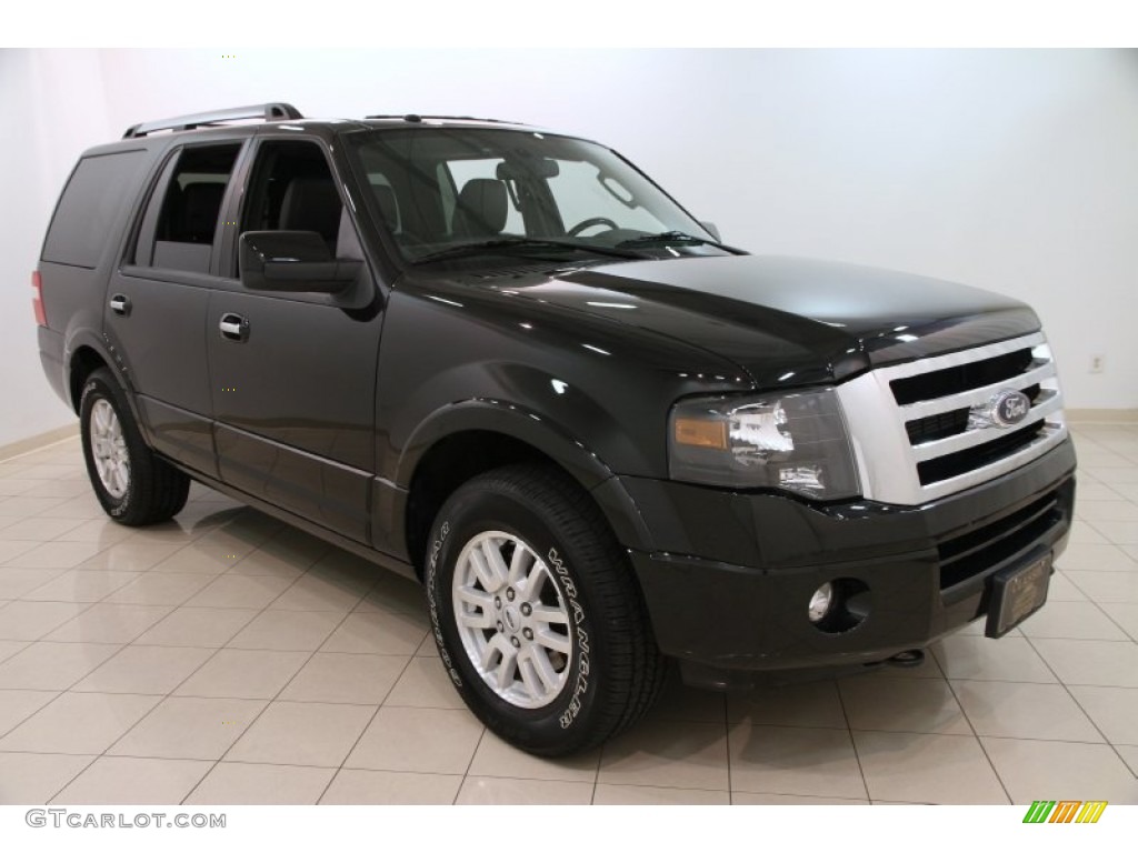 2014 Expedition Limited 4x4 - Tuxedo Black / Charcoal Black photo #1