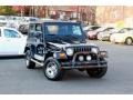 2003 Black Clearcoat Jeep Wrangler X 4x4 #98681863