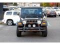 Black Clearcoat - Wrangler X 4x4 Photo No. 2