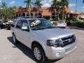 Ingot Silver 2014 Ford Expedition Limited