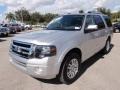 2014 Ingot Silver Ford Expedition Limited  photo #13