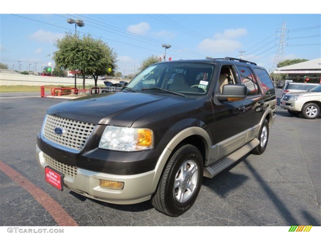 2005 Expedition Eddie Bauer - Dark Stone Metallic / Medium Parchment photo #3