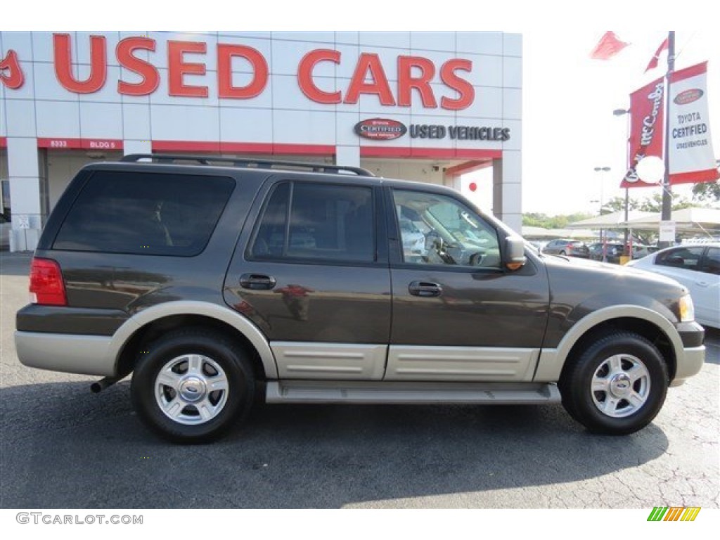 2005 Expedition Eddie Bauer - Dark Stone Metallic / Medium Parchment photo #8