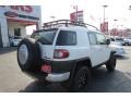 Iceberg White - FJ Cruiser 4WD Photo No. 7