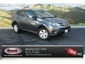 Magnetic Gray Metallic - RAV4 LE Photo No. 1