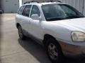 2001 Nordic White Hyundai Santa Fe GLS V6  photo #2