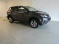 Magnetic Gray Metallic - RAV4 XLE Photo No. 4