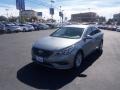 Shale Gray Metallic - Sonata Eco Photo No. 1