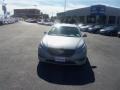 Shale Gray Metallic - Sonata Eco Photo No. 2