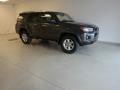 Magnetic Gray Metallic - 4Runner SR5 Photo No. 4