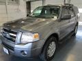 Sterling Gray - Expedition XLT Photo No. 3