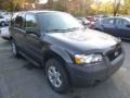 Dark Shadow Grey Metallic 2006 Ford Escape XLT V6 4WD