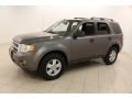 2010 Sterling Grey Metallic Ford Escape XLT  photo #3