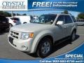 Light Sage Metallic 2008 Ford Escape Limited