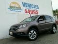 Urban Titanium Metallic - CR-V EX 4WD Photo No. 1