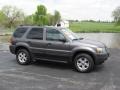 2006 Dark Shadow Grey Metallic Ford Escape XLT V6  photo #1