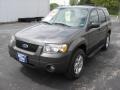 2006 Dark Shadow Grey Metallic Ford Escape XLT V6  photo #4