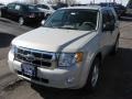 2009 Light Sage Metallic Ford Escape XLT V6 4WD  photo #4