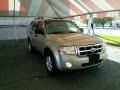 Gold Leaf Metallic - Escape XLT V6 4WD Photo No. 1