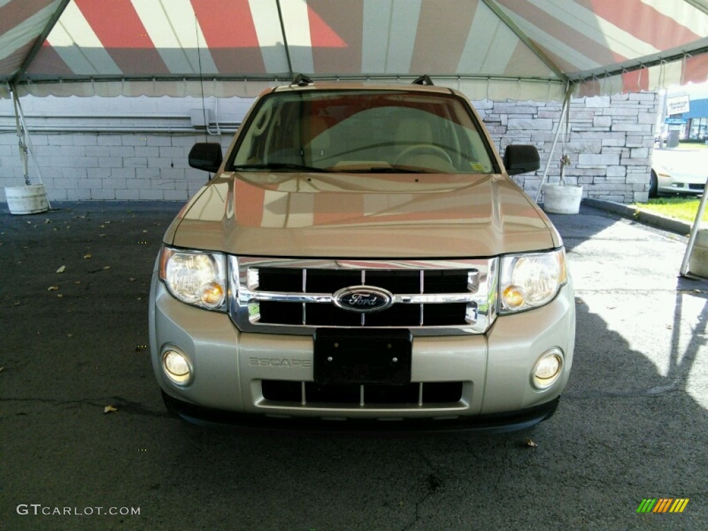 2011 Escape XLT V6 4WD - Gold Leaf Metallic / Camel photo #2