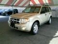 Gold Leaf Metallic - Escape XLT V6 4WD Photo No. 3